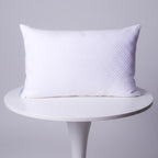 Double pillow bundle